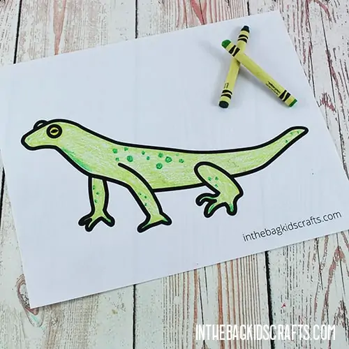 Iguana coloring pages just add washi tape â in the bag kids crafts