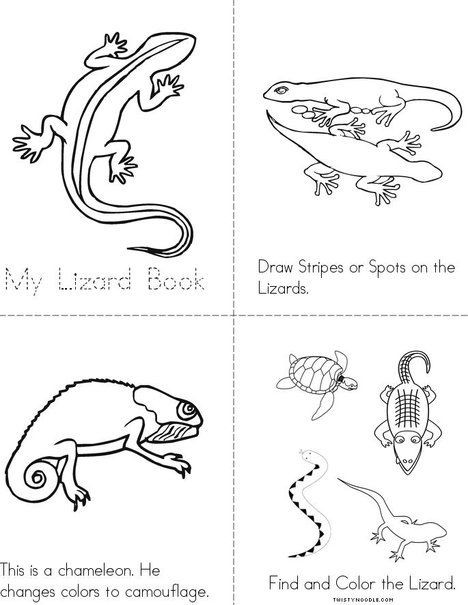 Lizard book mini book lizard craft reptiles preschool lizard