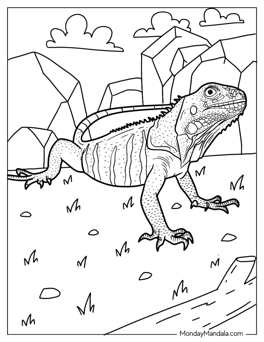 Lizard coloring pages free pdf printables