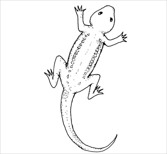 Lizard s crafts colouring pages