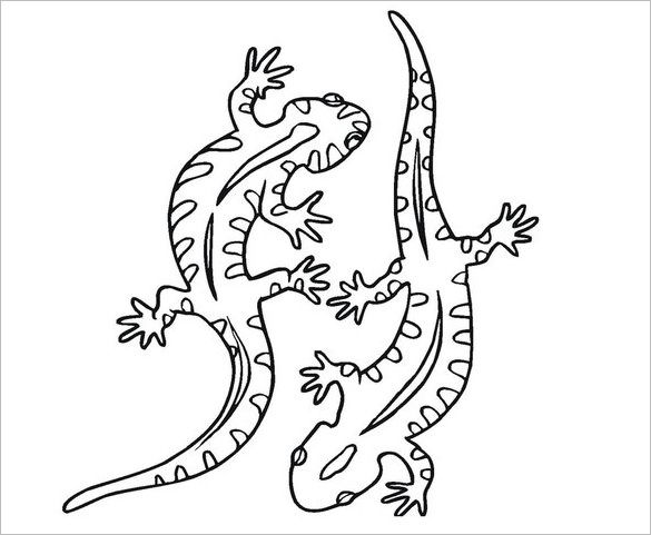 Images of lizard papercraft template netpei coloring pages colouring pages animal templates