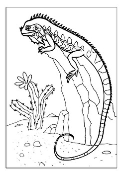 Discover the beauty of lizards with our printable coloring pages collection pdf