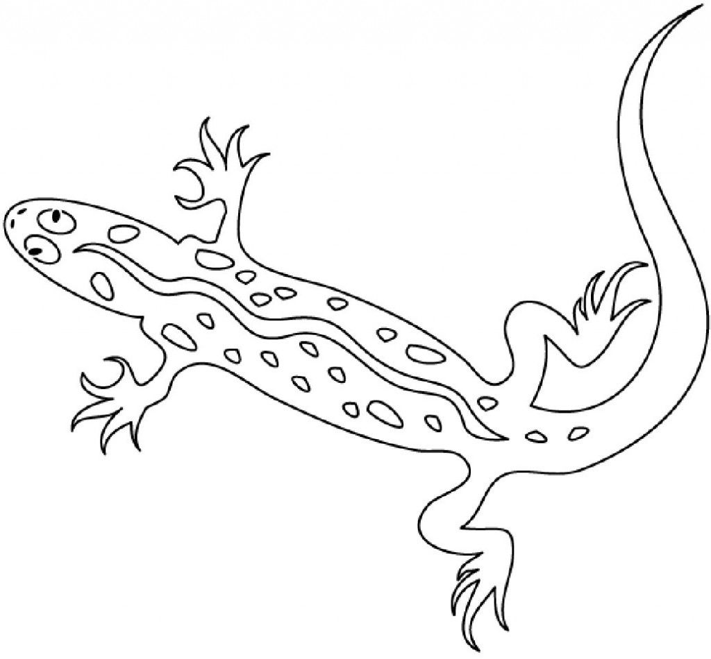 Lizard coloring pages for kids wwwhotelstenata