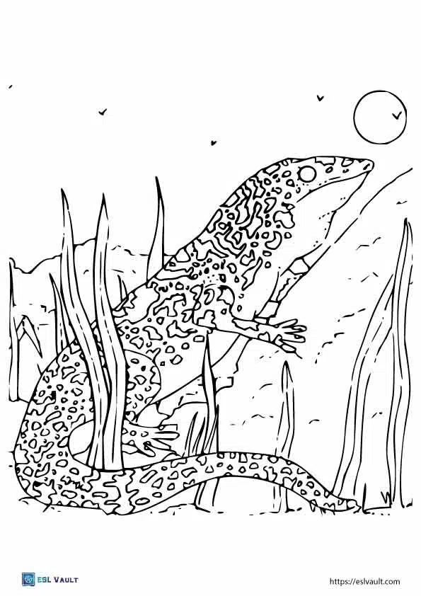 Realistic lizard coloring pages