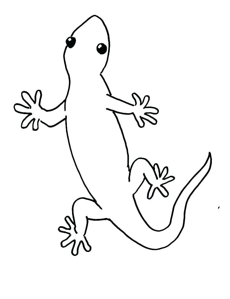 Gecko coloring pages