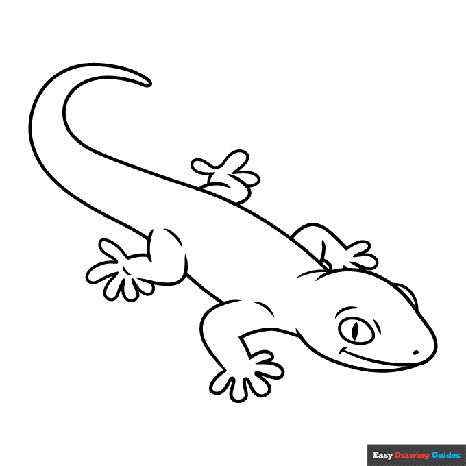 Gecko coloring page easy drawing guides