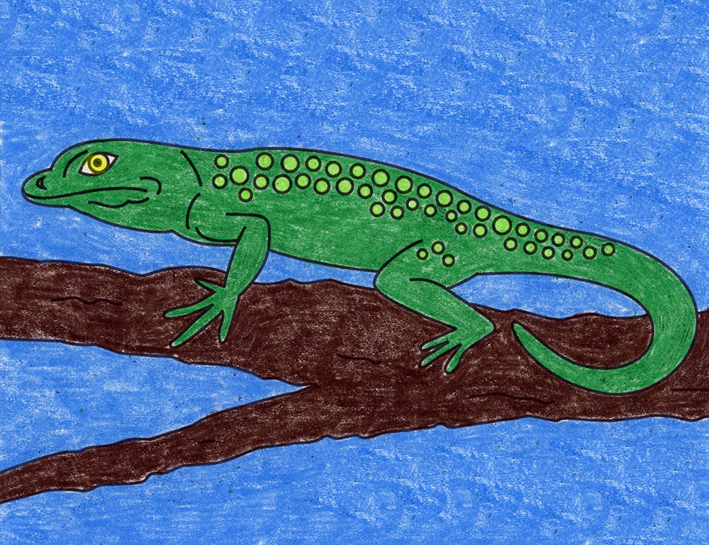 How to draw a lizard