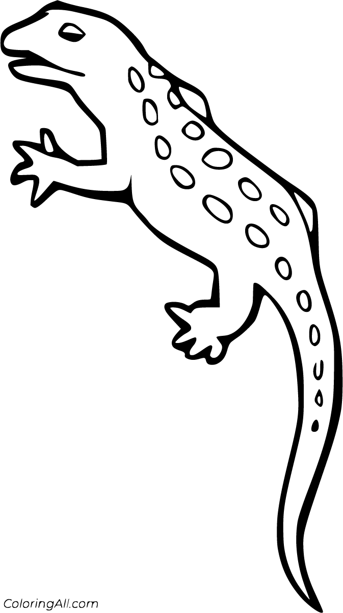 Lizard coloring pages