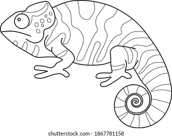 Lizard outline images stock photos d objects vectors