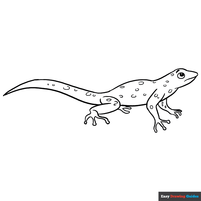 Lizard coloring page easy drawing guides