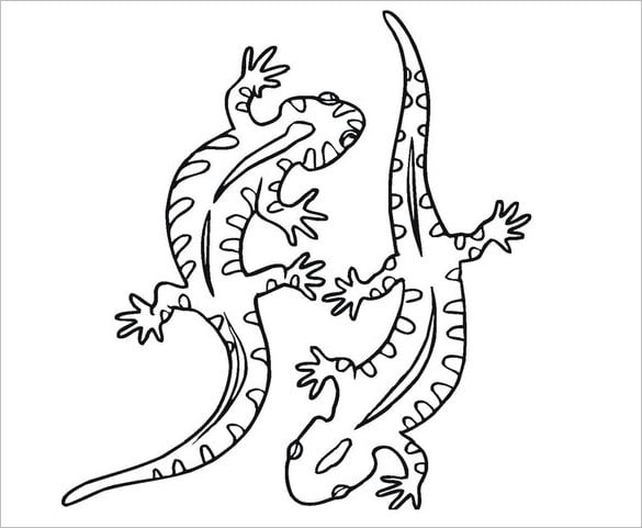 Lizard s crafts colouring pages