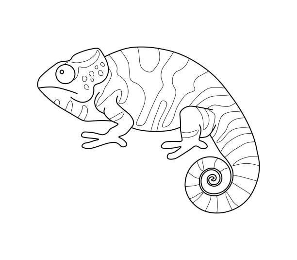 Chameleon linear drawing coloring stock illustration