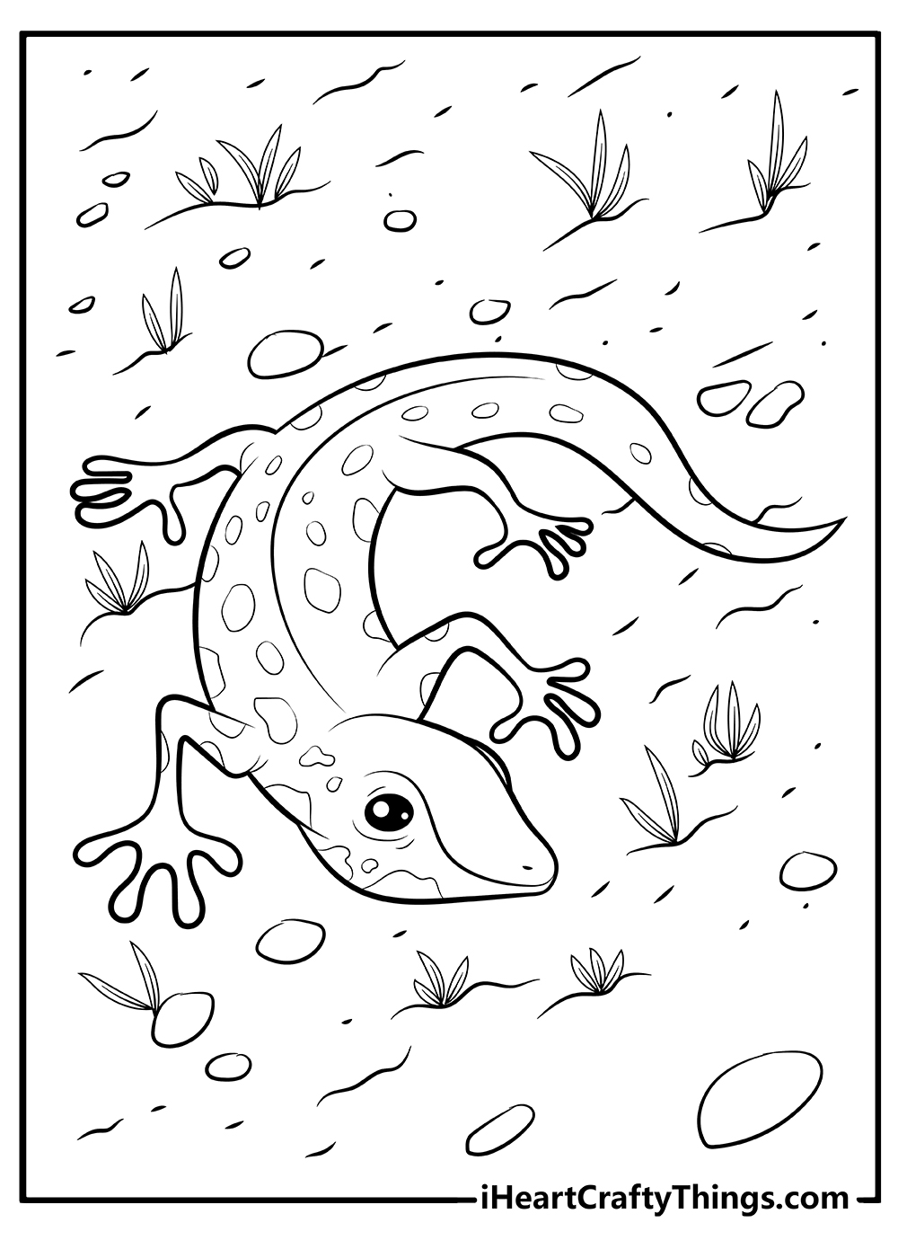 Lizard coloring pages free printables