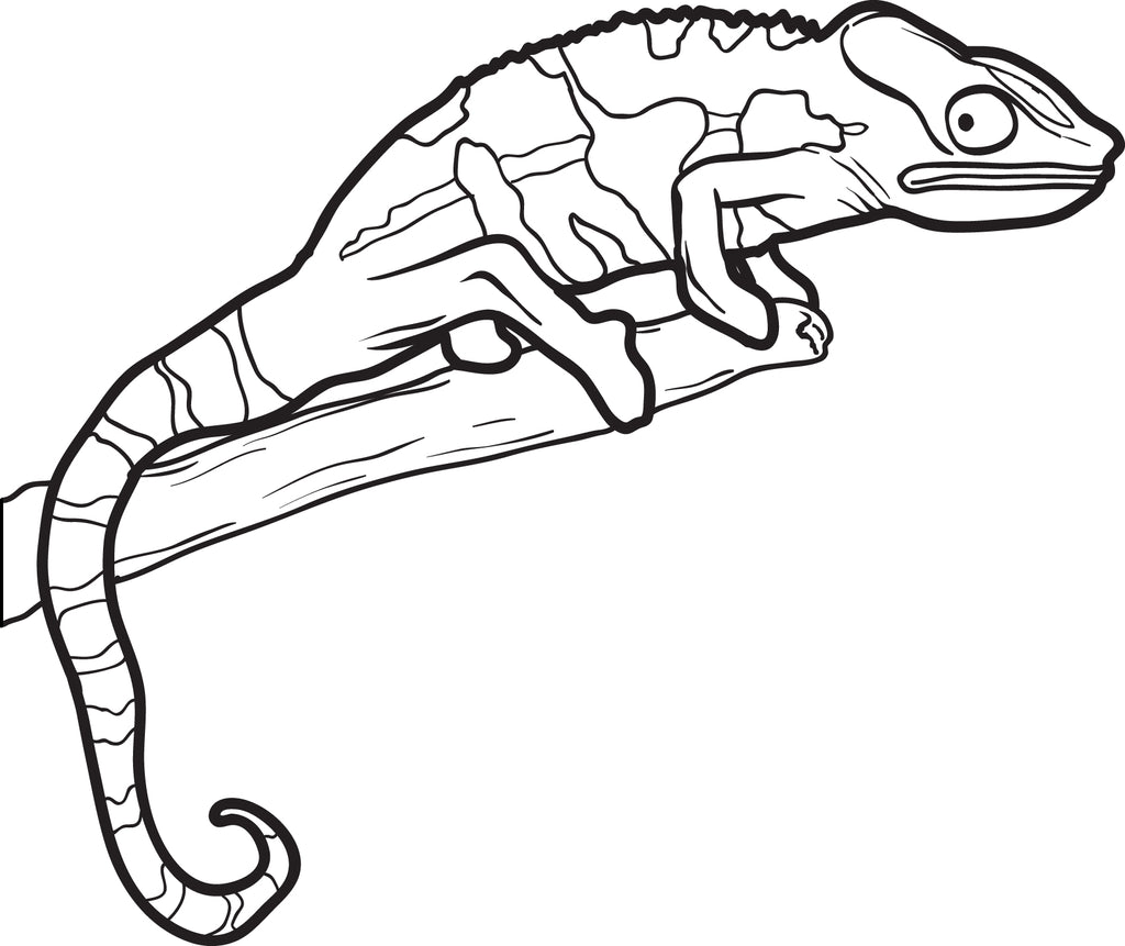 Printable lizard coloring page for kids â