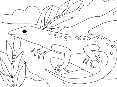 Lizard coloring page free printable coloring pages