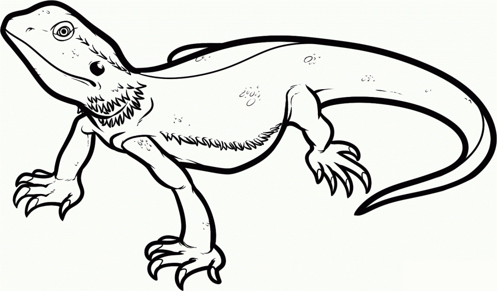 Free printable lizard coloring pages for kids dragon coloring page cartoon lizard animal coloring pages