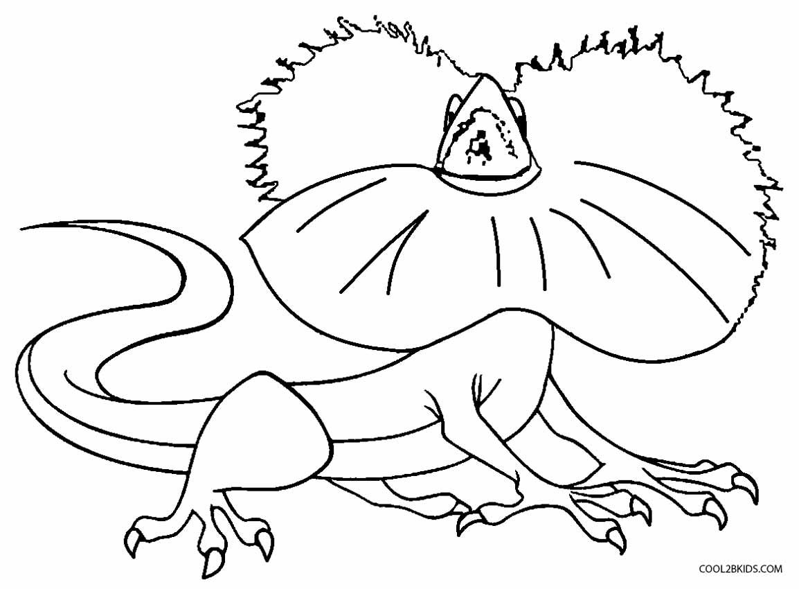 Free coloring pages coloring pages animal coloring pages chameleon color