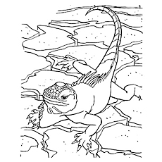 Top free printable lizard coloring pages online