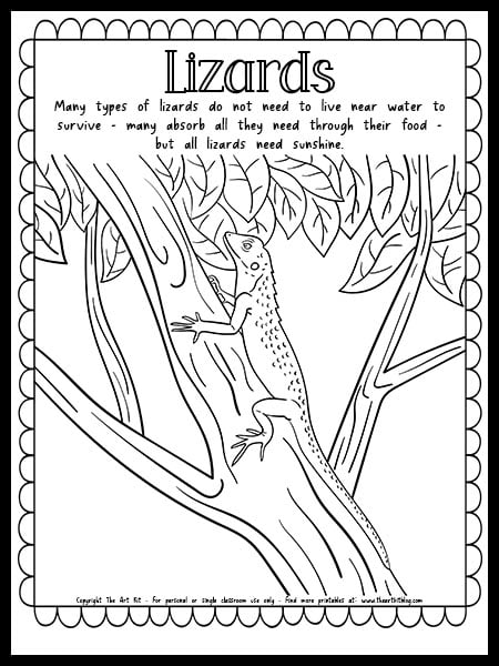 Lizard coloring page with fun fact free printable â the art kit