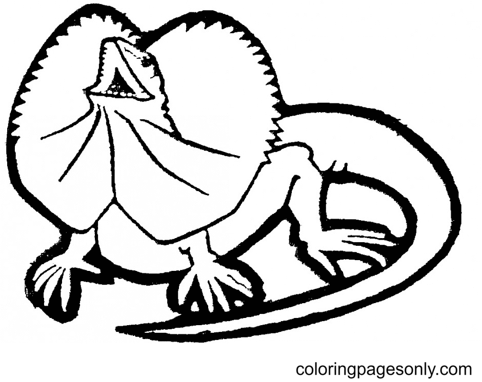 Lizard coloring pages printable for free download