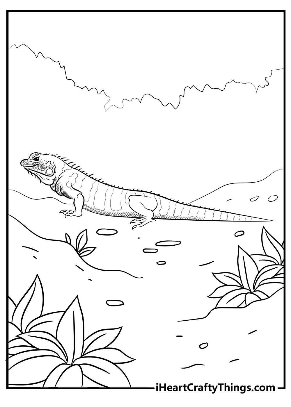 Lizard coloring pages free printables