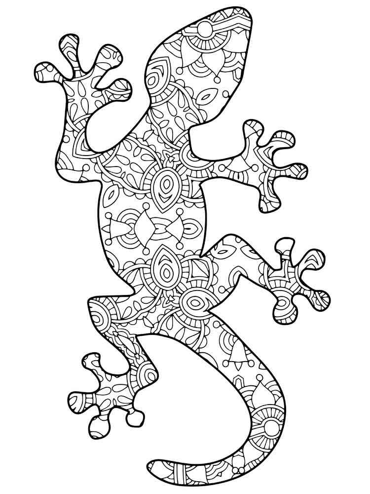 Lizard coloring pages for adults