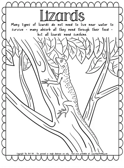 Lizards coloring page free homeschool deals