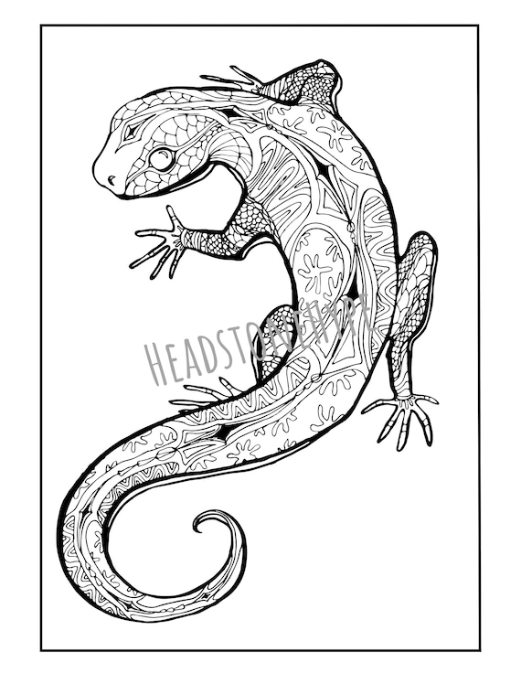 Lizard coloring page adult coloring page printable coloring page digital coloring download now