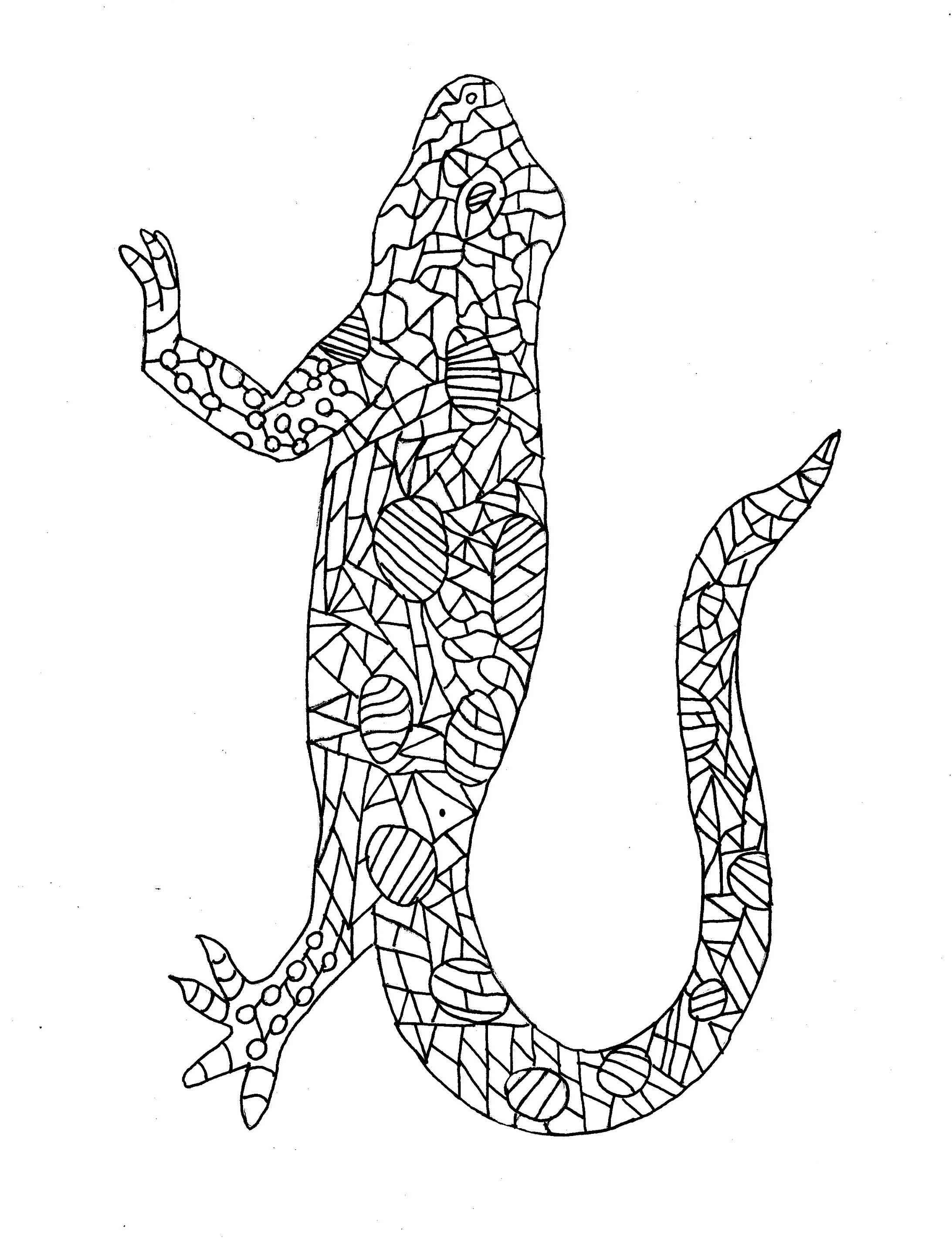 Lizard coloring pages for adults