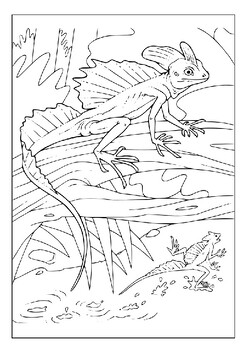 Discover the beauty of lizards with our printable coloring pages collection pdf