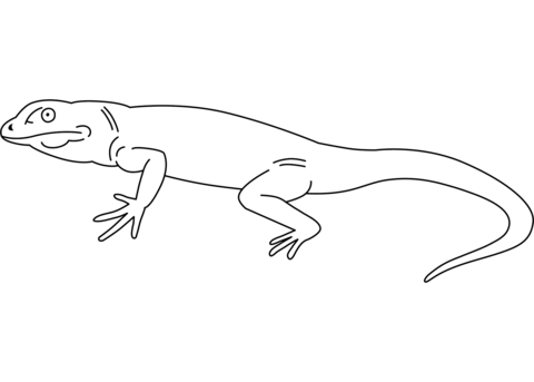 Lizard coloring page free printable coloring pages