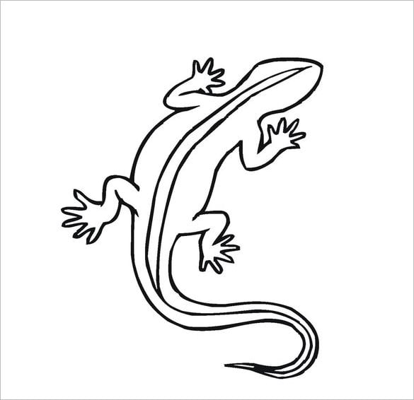 Lizard s crafts colouring pages