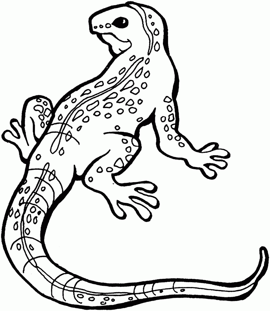 Nice free lizard free coloring pages for kids cartoon lizard coloring pages for kids animal coloring pages