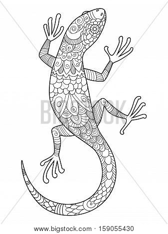 Lizard coloring book vector photo free trial bigstock