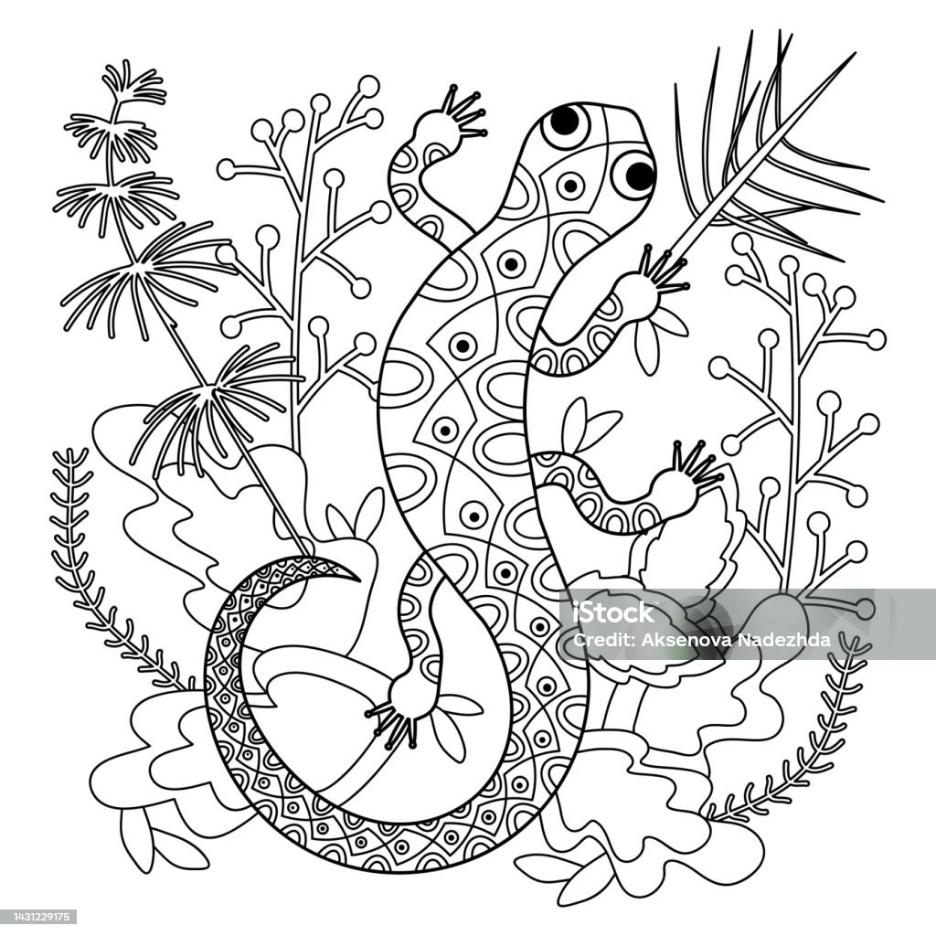 Lizard and plants coloring page stock illustration