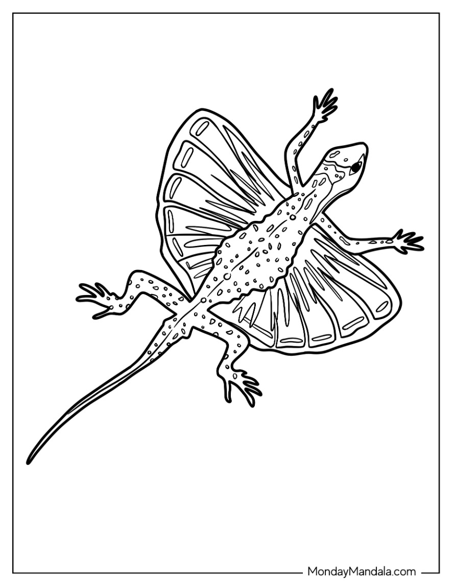 Lizard coloring pages free pdf printables