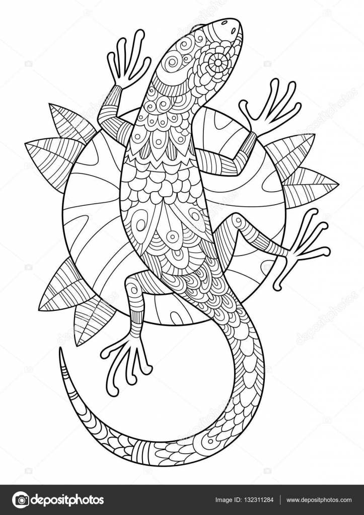 Lizard coloring book for adults vector stock vector by alexanderpokusay