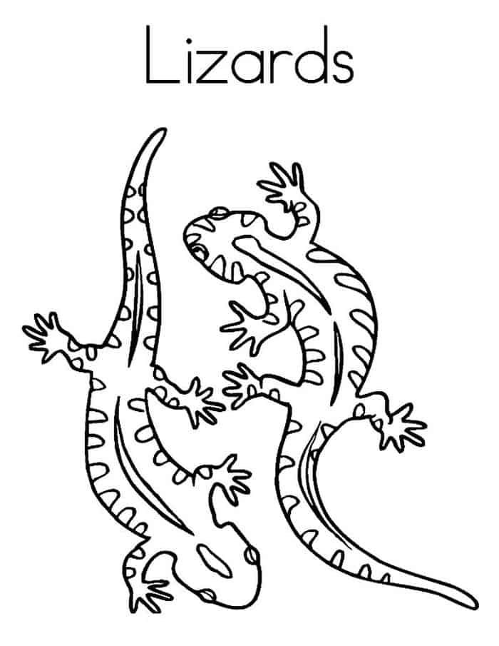 Printable lizard coloring pages pdf animal coloring pages coloring pages detailed coloring pages