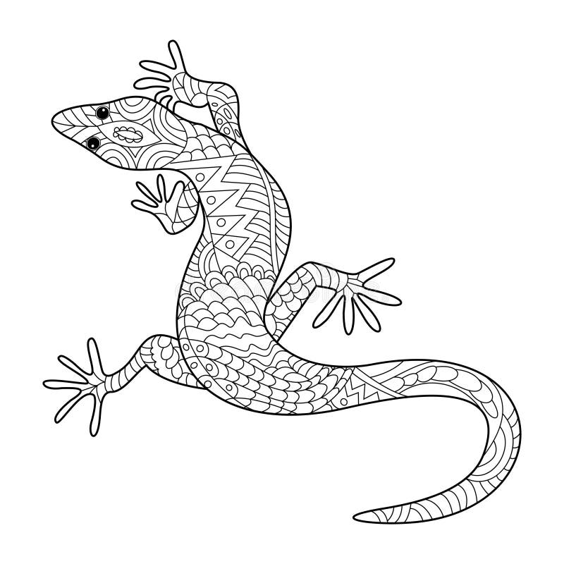 Lizard coloring book for adults vector stock vector