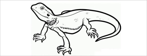 Lizard s crafts colouring pages