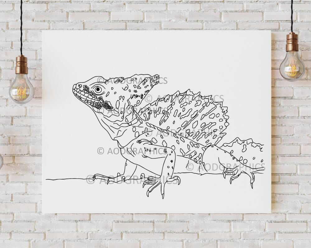 Lizard coloring page