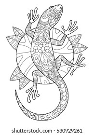 Lizard coloring book adults raster illustration stock illustration