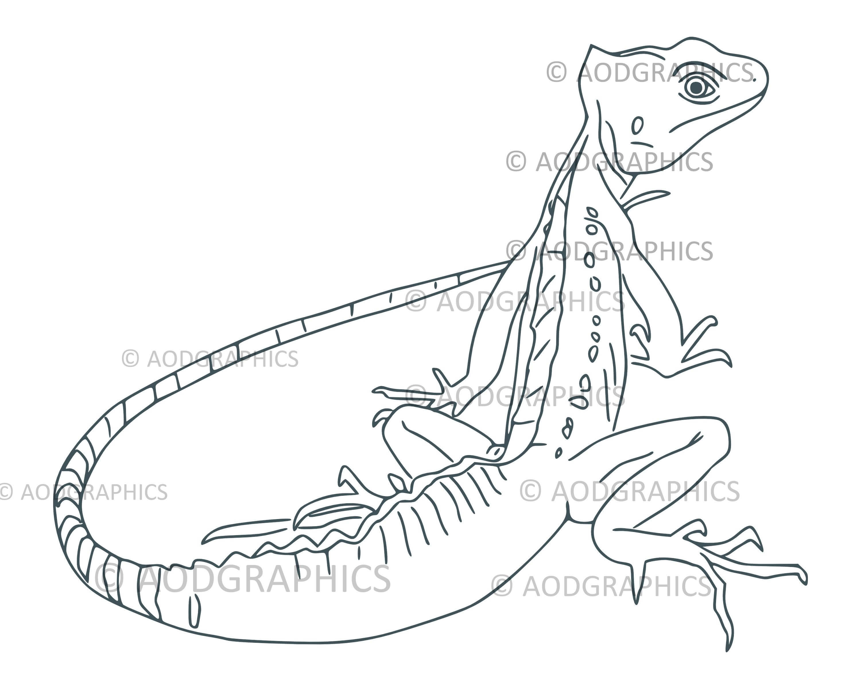 Basilisk coloring page