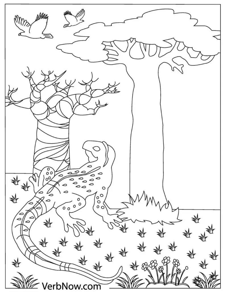 Free lizards coloring pages for download printable pdf