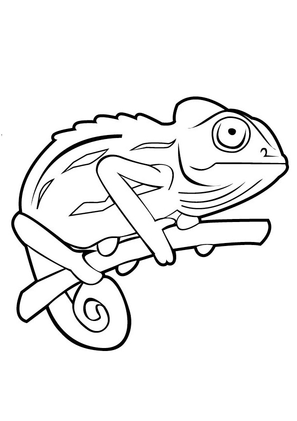 Coloring pages free printable chameleon coloring pages