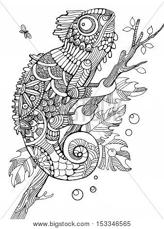 Chameleon coloring vector photo free trial bigstock