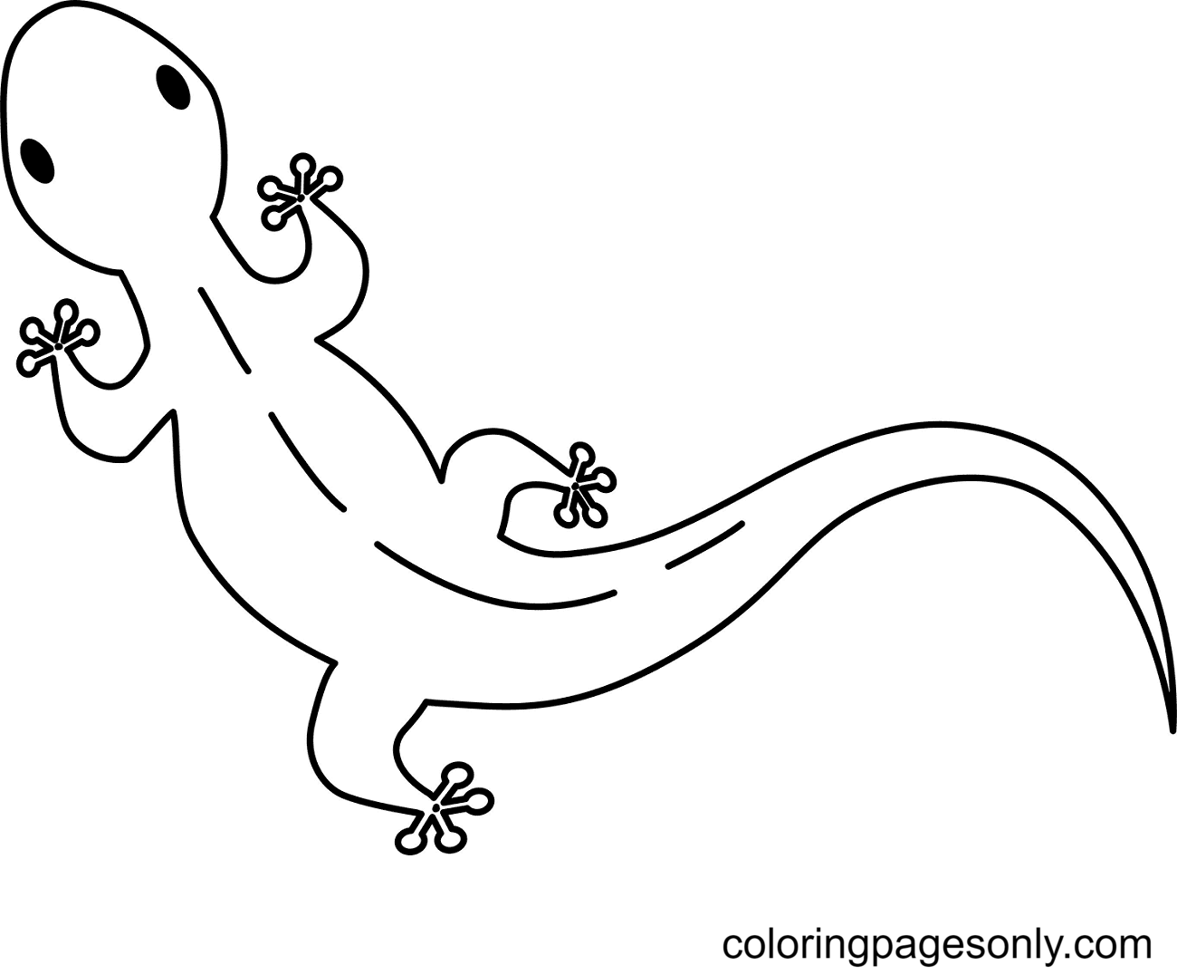 Lizard coloring pages printable for free download