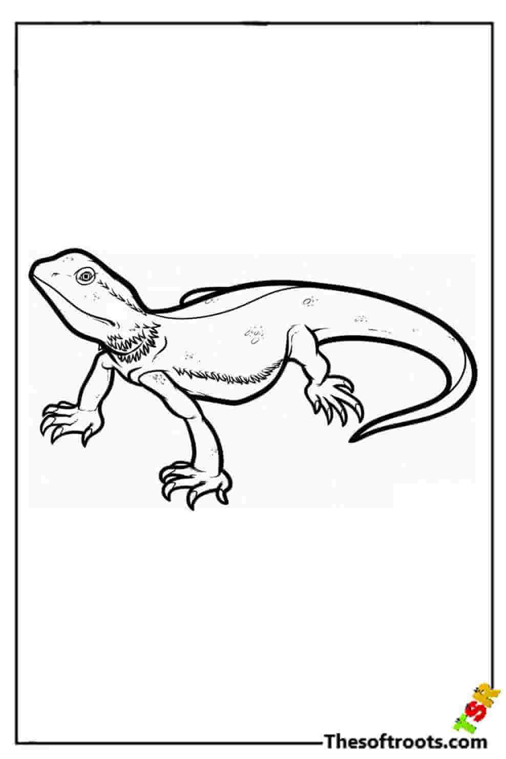 Lizard coloring pages kids coloring pages