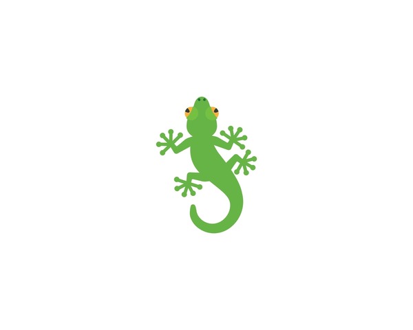 Adorable lizard images stock photos d objects vectors