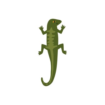 Page gecko icon images